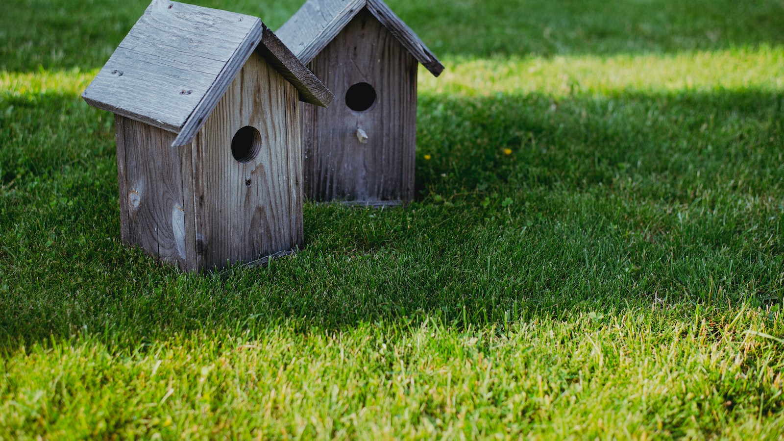 Семейното жилище при развод